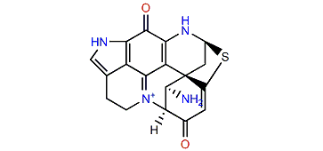 1-Aminodiscorhabdin D